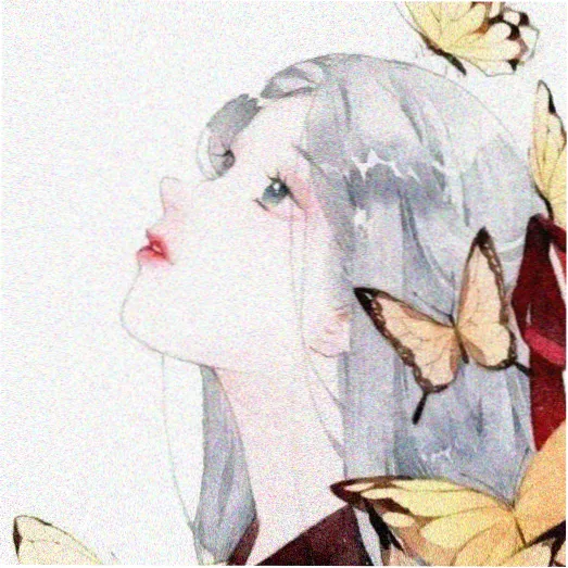 用户纸鸢头像
